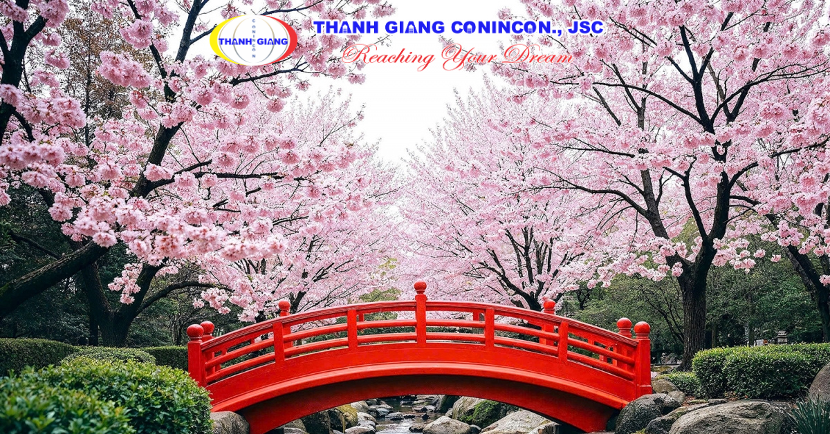 Mùa hoa anh đào nở rộ tại Nhật Bản vào tháng 4